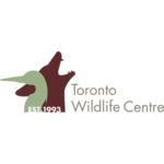 Toronto Wildlife Centre